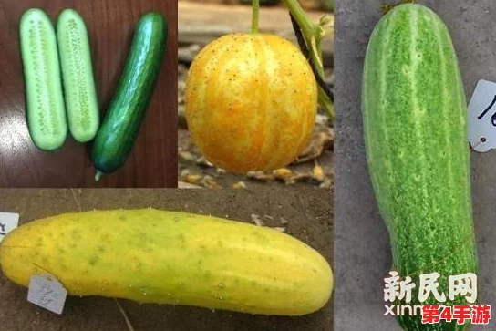 草莓香蕉榴莲黄瓜丝瓜茄子：多样水果与蔬菜的奇妙搭配，带来健康饮食的新选择与灵感