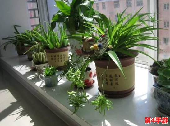 薰衣草研究所发布最新研究成果,揭示薰衣草对心理健康的积极影响与应用前景 薰衣草研究所发布最新研究成果,揭示薰衣草对心理健康的积极影响与应用前景