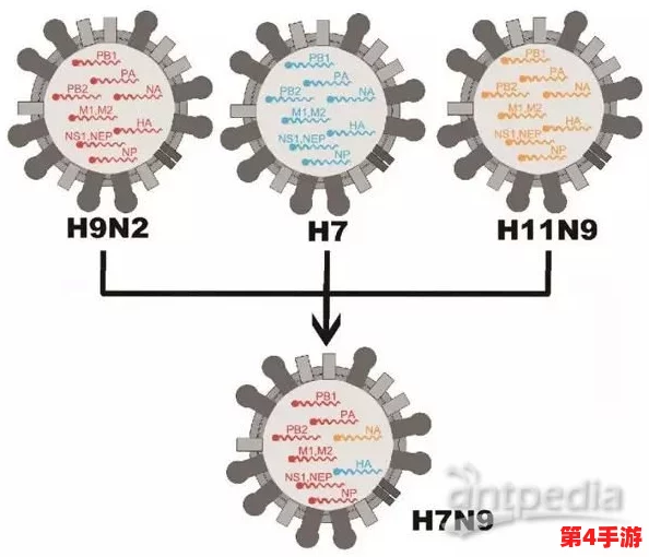 药效h1v2钟意：新研究揭示其在抗病毒治疗中的潜力与应用前景