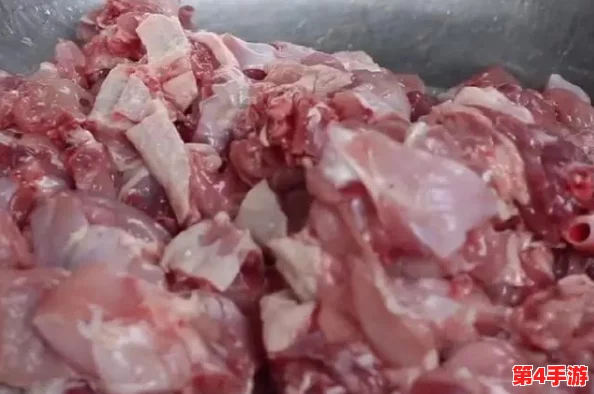 创意烹饪探索：暗喻幻想下的秘制炖兔肉，独特风味制法大公开