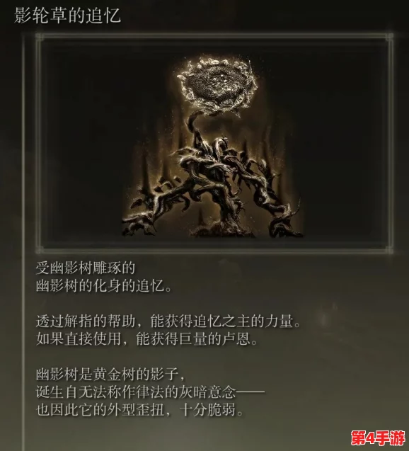 探索艾尔登法环：揭秘哪位法师流派在策略与输出上更胜一筹？