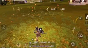 《妄想山海》游戏攻略：精准定位赤翎雕出没地，高效捕捉技巧全解析