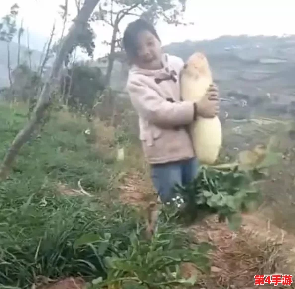 拔萝卜痛又叫黄，这种现象的成因及其对健康的影响你了解多少？