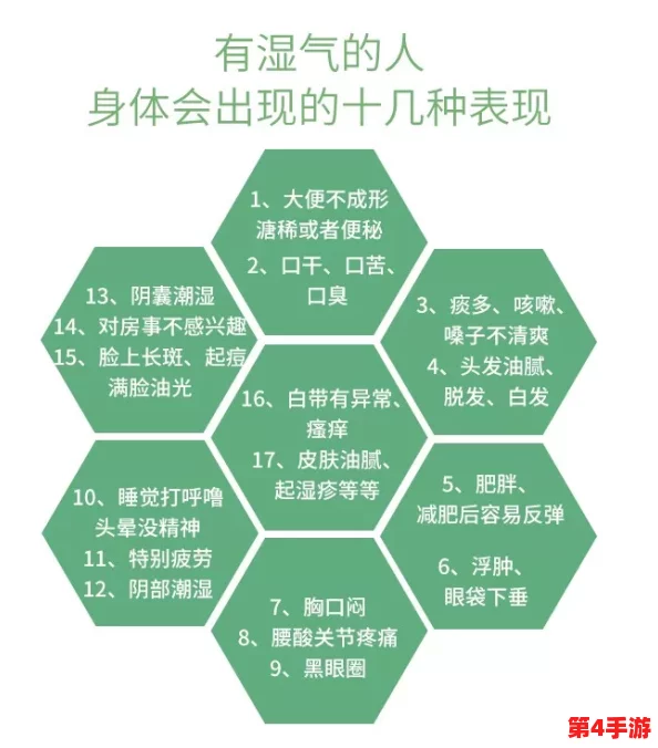 体内 精69XXXXXx，畅享健康与活力，提升生活品质的秘诀！