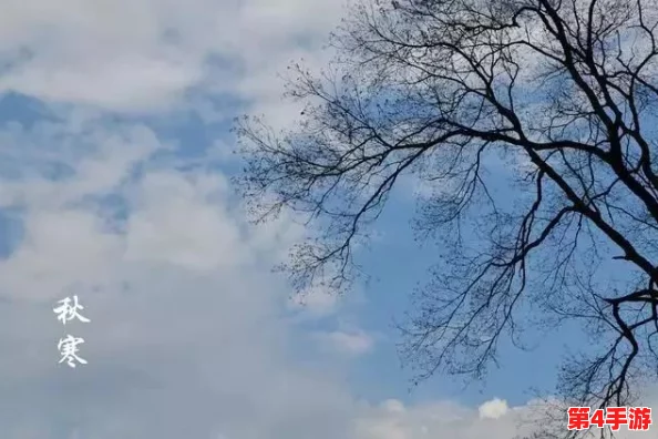 坤坤寒进定里：在这个寒冷的季节，如何找到内心的温暖与宁静成为了我们共同的追求