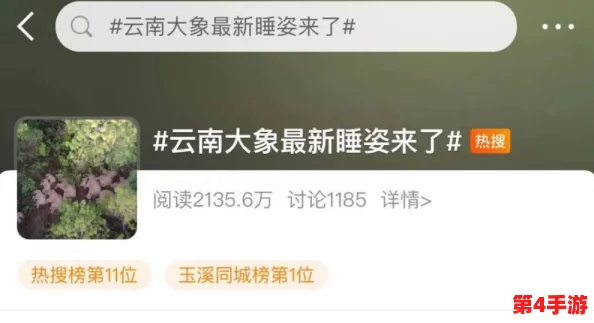大象回家永久不迷路2024：用户称赞其使用简便，导航精准，值得信赖的好帮手！