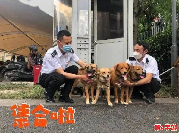 废旧工厂被流浪狗装满肚子，数十只流浪犬聚集成群引发居民关注与担忧，亟需解决这一社会问题