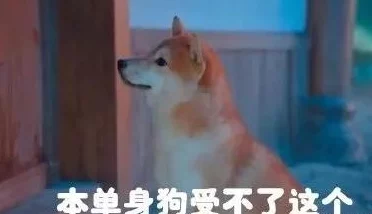 啊哈有人来了啊哈知许解夏，期待与大家分享更多精彩瞬间，共同感受生活中的点滴乐趣与美好