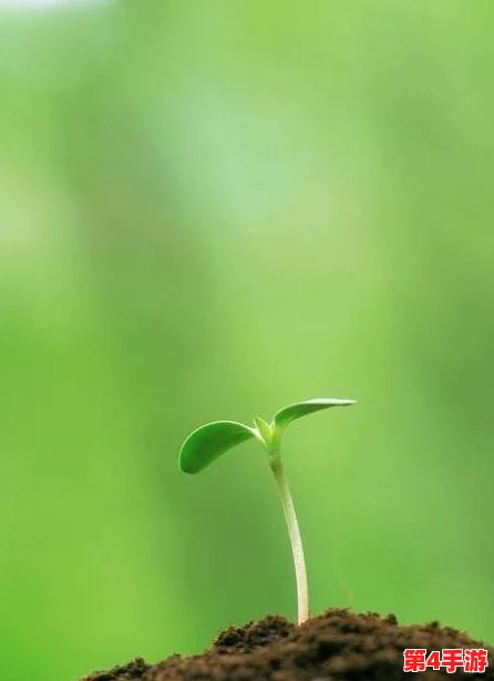 精准灌溉系统y液收集系统在农业生产中的应用与技术优势分析