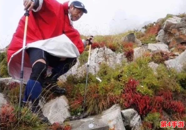 不带小雨衣特别舒服怎么回事？分析气候变化与个人感受之间的关系和影响因素