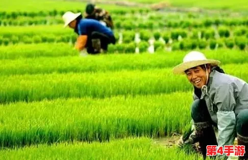 耕种妈妈肥沃的土地在哪个地方？网友热议：是家乡的田野，还是心灵深处的那片净土？