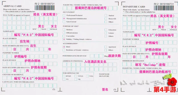 欧美一卡二卡三卡：传闻某知名歌手因信用卡问题被拒入境，背后隐藏的故事引发热议！