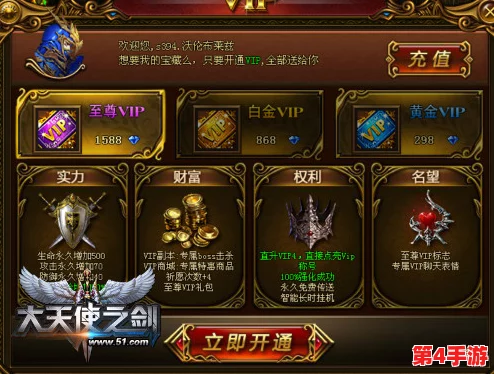 神秘网站5个VIP代码：如何安全获取与有效使用这些特权代码的全面指南与注意事项
