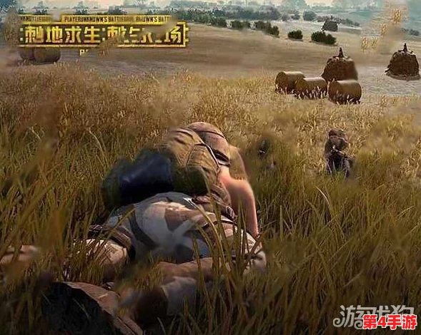 终极策略解析：绝地求生刺激战场决赛圈战术布局与细节注意事项全面指南