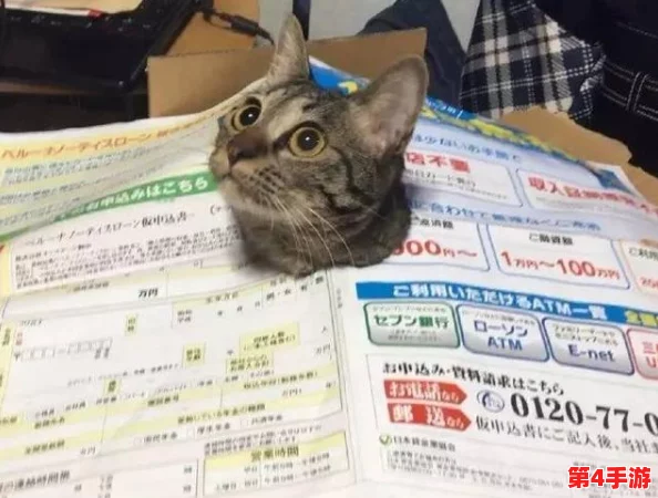 喵咪最新地域网名是什么啥：了解喵咪文化及其在社交媒体中的影响力与发展动态