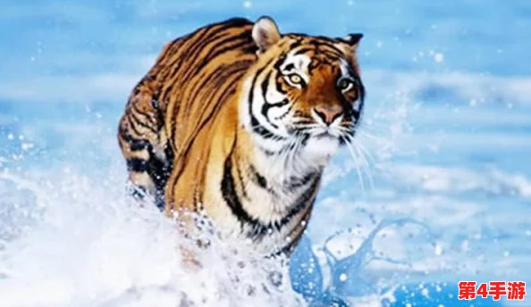 4虎的网名最新2024：传闻他们背后隐藏着不为人知的秘密，粉丝们纷纷猜测其真实身份与未来动向！