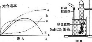 钢手轮×c：基于有限元分析的钢手轮结构优化设计与性能研究